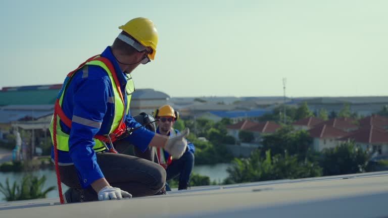 Best Chimney Flashing Repair  in Bosque Farms, NM