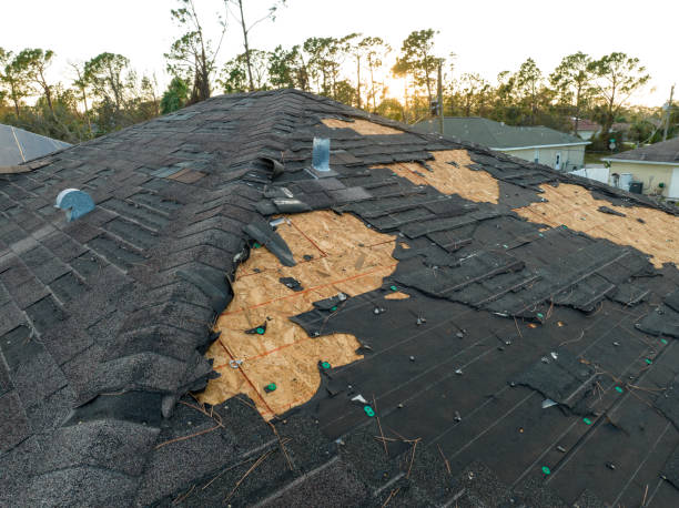 Best Roof Leak Repair  in Bosque Farms, NM